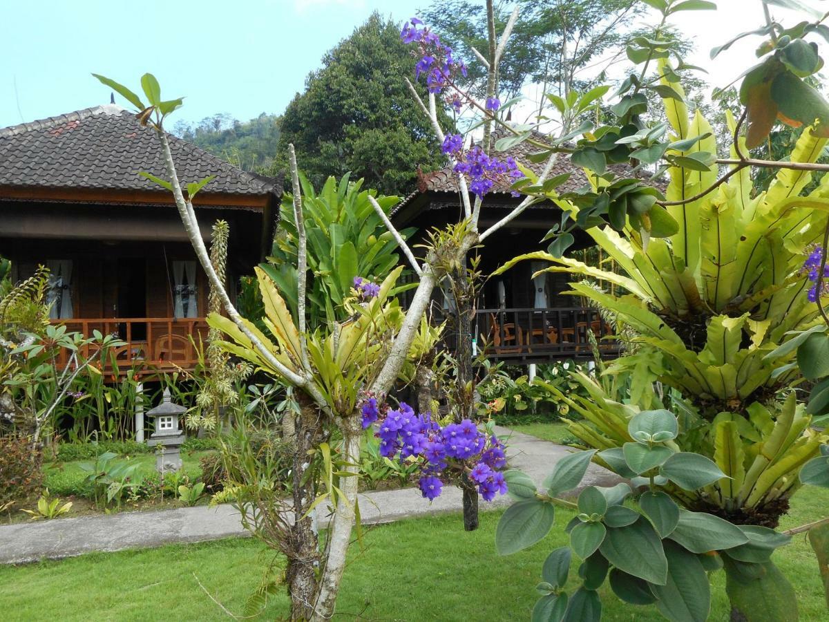 Kubu Alas Tunggal Villa ซิเดอมัน ภายนอก รูปภาพ